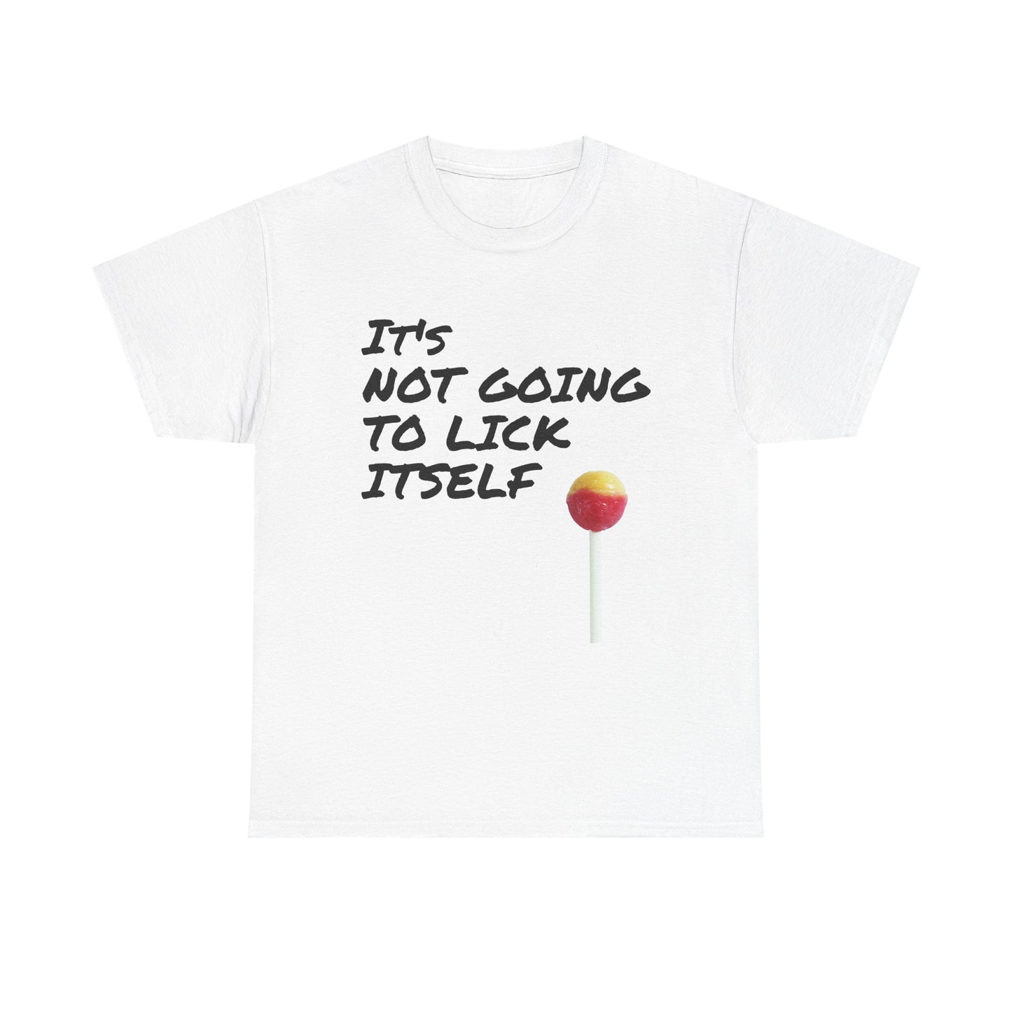 Funny Dirty Humor It's Not Going to Lick Itself T-Shirt, Sarcastic Graphic Tee, Naughty Joke Shirt, Rude Quote Top, Adult Humor Clothing