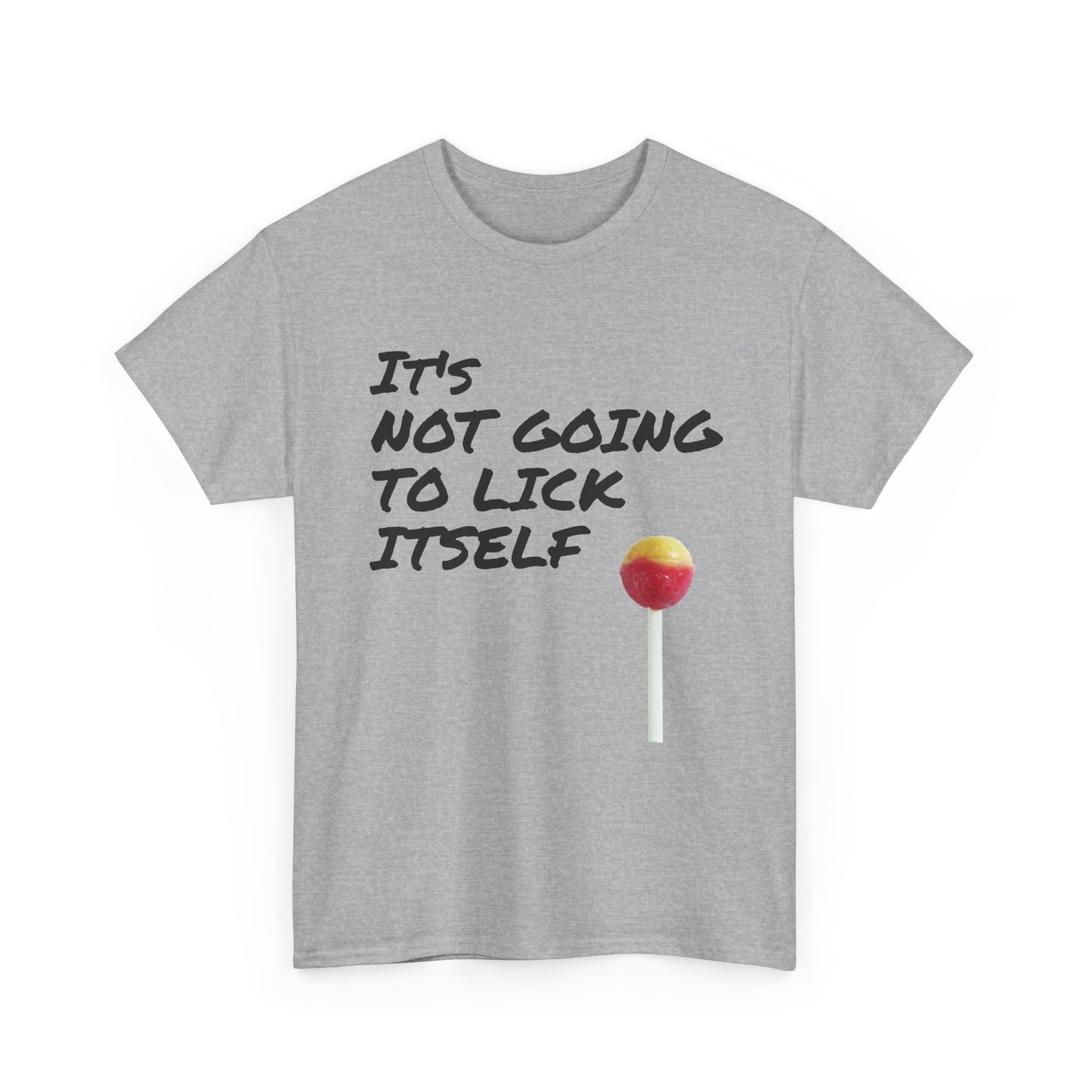 Funny Dirty Humor It's Not Going to Lick Itself T-Shirt, Sarcastic Graphic Tee, Naughty Joke Shirt, Rude Quote Top, Adult Humor Clothing